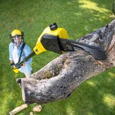 Best Sod Installation  in Saltillo, MS
