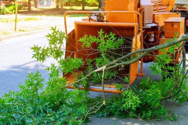 Best Lawn Watering Services  in Saltillo, MS