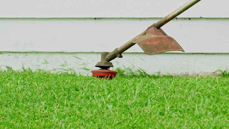 Saltillo, MS Tree Services Company